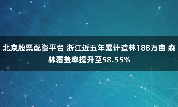 北京股票配资平台 浙江近五年累计造林188万亩 森林覆盖率提升至58.55%